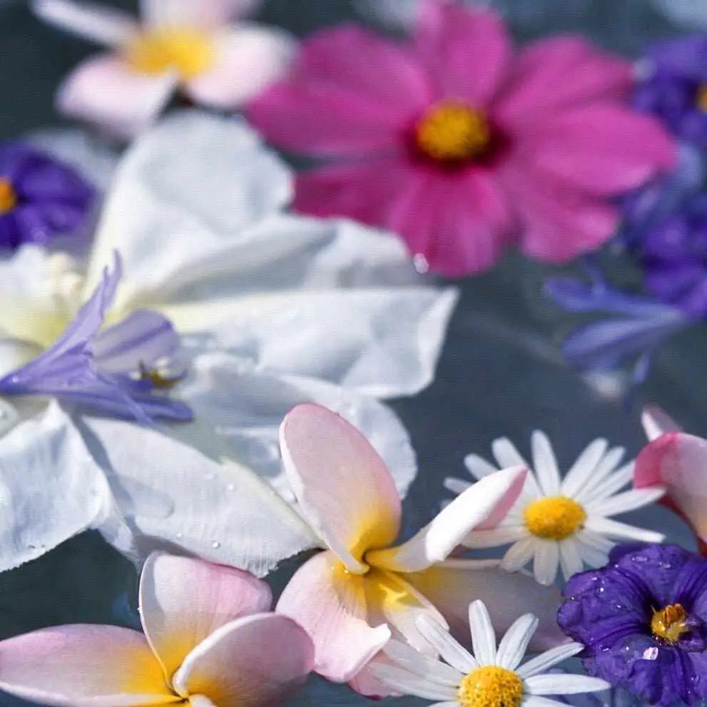 Assortimento di fiori vibranti e fluttuanti per idrolati