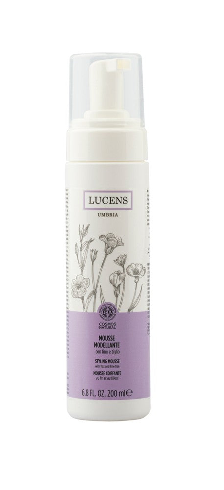 Mousse De Modélisation