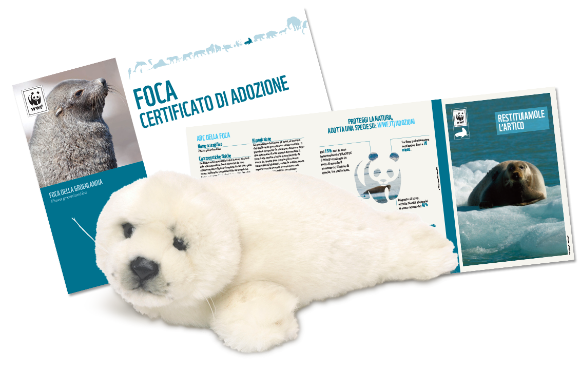 WWF Plush - Seal - With contribution