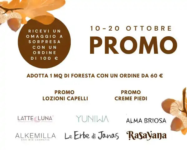 Un annuncio per un evento di vendita autunnale.