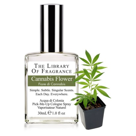 Natural perfume - Cannabis Flower The Library of Fragrance Perfumes  Available on Yumibio.com