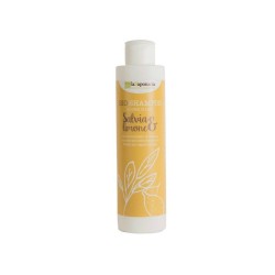 Shampoo Sage and Lemon - 1 LT La Saponaria Shampoo  Available on Yumibio.com