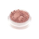 Blush English Rose - Rosa Caldo