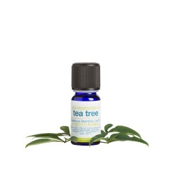 Essential oil of Tea Tree La Saponaria Essential Oils  Available on Yumibio.com