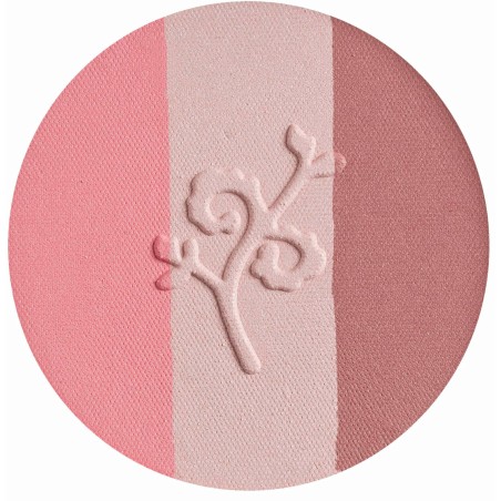 Fard À Joues Compact Bio Pêche, Rose Pâle, Mauve Benecos Blush   Disponible sur Yumibio.com