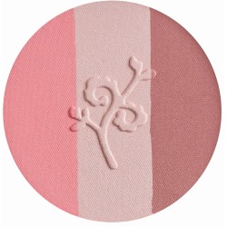 Blush Compact Bio Peach, Light Pink, Mauve Benecos Blush  Available on Yumibio.com