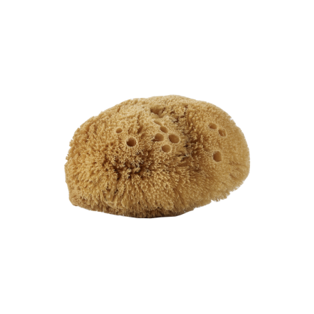 Body Sponge Natural Avril Sponges and Accessories  Available on Yumibio.com