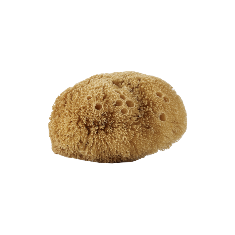 Body Sponge Natural Avril Sponges and Accessories  Available on Yumibio.com