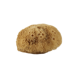 Body Sponge Natural Avril Sponges and Accessories  Available on Yumibio.com