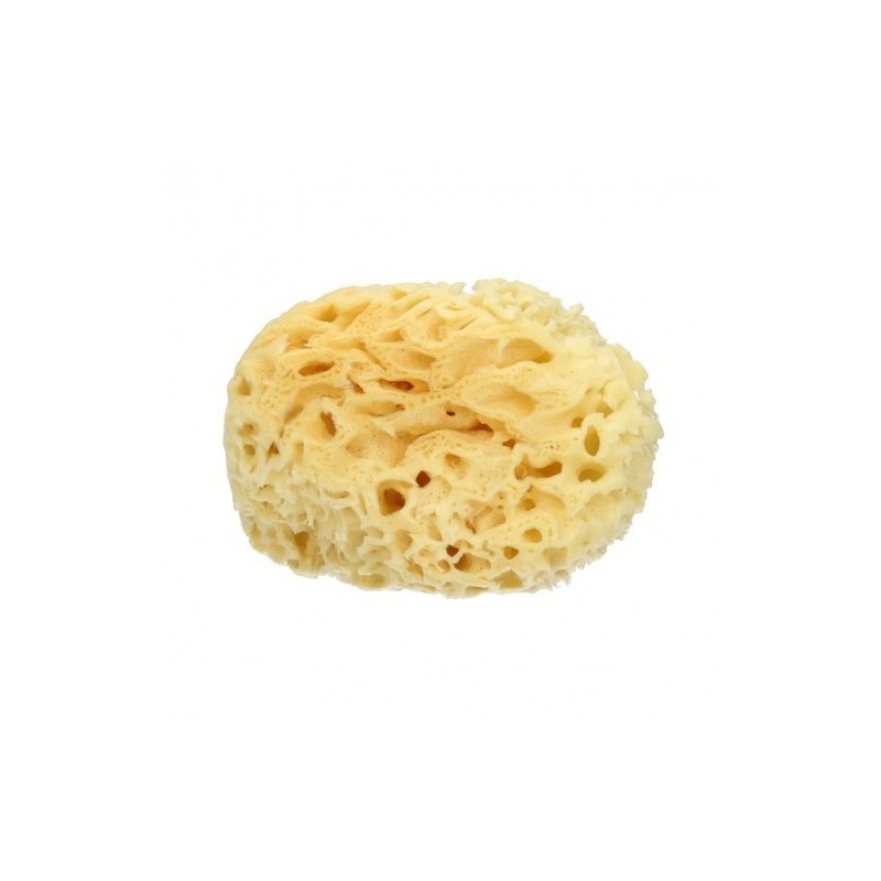 Éponge de l'Archipel - de 12 cm Mood Les éponges et les Accessoires   Disponible sur Yumibio.com