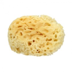 Sponge Archipelago - 12 cm Mood Sponges and Accessories  Available on Yumibio.com