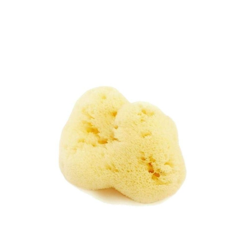 Éponge naturelle, Fin-de-Dame-Gratuit - 4/5 gr Cose Della Natura Les éponges et les Accessoires   Disponible sur Yumibio.com