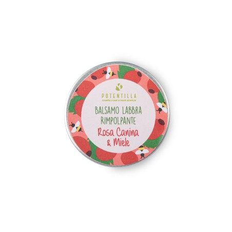 Baume à lèvres repulpant - Rose musquée et miel Potentilla Les lèvres   Disponible sur Yumibio.com