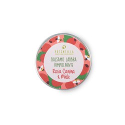 Potentilla  Balsamo Labbra Rimpolpante - Rosa Canina e Miele  Cura delle Labbra