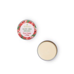 Baume à lèvres repulpant - Rose musquée et miel Potentilla Les lèvres   Disponible sur Yumibio.com
