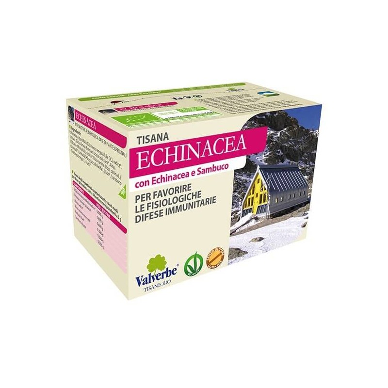 Echinacea Herbal Tea Valverbe Tea and herbal Teas  Available on Yumibio.com