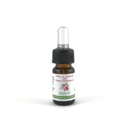 Huile pour Cuticules Antos Cosmetici Soins des Mains et des Ongles   Disponible sur Yumibio.com