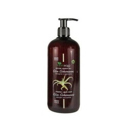 Savon liquide aloe arborescens Naturaequa Savon   Disponible sur Yumibio.com