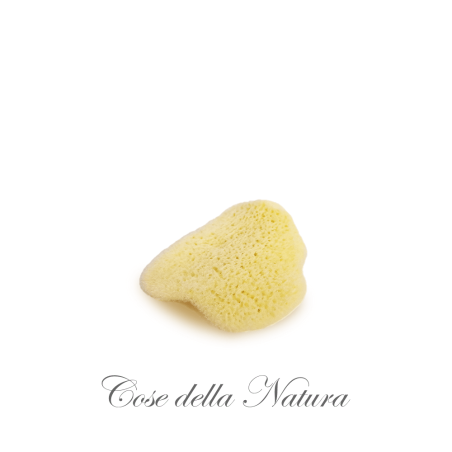 Éponge Plate - Pétale de Mer Cose Della Natura Les éponges et les Accessoires   Disponible sur Yumibio.com