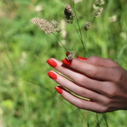 Émail Semi-Permanent Corail Rouge - Flash Vert Manucurist Vernis à ongles semi-permanents   Disponible sur Yumibio.com