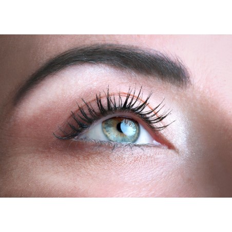 Magnitude-Volumizing Mascara 01 Carbo My Sezione Aurea Mascara  Available on Yumibio.com
