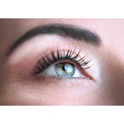 Magnitude-Volumizing Mascara 01 Carbo My Sezione Aurea Mascara  Available on Yumibio.com