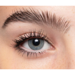 Swipe Up Curling Mascara Purobio Mascara  Available on Yumibio.com