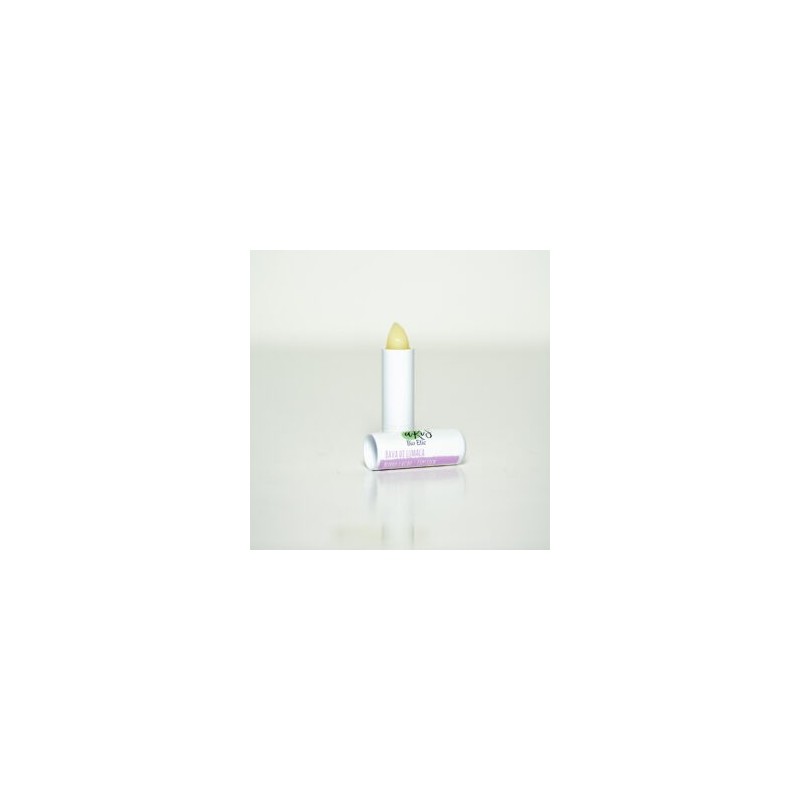 Snail Burr lip balm Aris Bio Etic Lips  Available on Yumibio.com