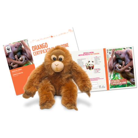Plush toyf Regali Solidali Freebies  Available on Yumibio.com