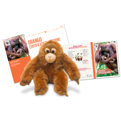Jouet en peluchef Regali Solidali Freebies   Disponible sur Yumibio.com