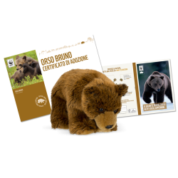 Peluche WWF - Orso  Home