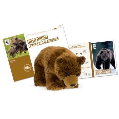 Peluche WWF - Orso - Con contributo  Omaggi