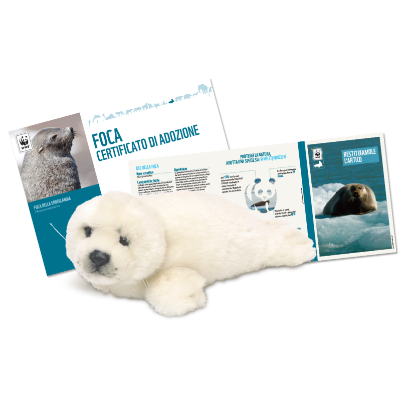 Peluche WWF - Foca - Con contributo  Omaggi
