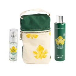 Kit d'éclairage à l'Hélichryse-Biofficina Toscana / Y