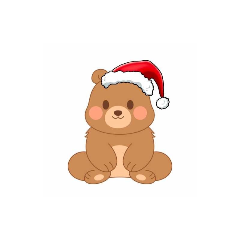Regalo di Natale 2024 - Orso  Home