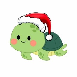 Christmas gift 2021-Turtle  Regali Natale 2021  Available on Yumibio.com