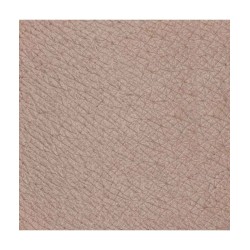 Champagne Neutral Eye Pencil-Classics Neve Cosmetics Pencils  Available on Yumibio.com