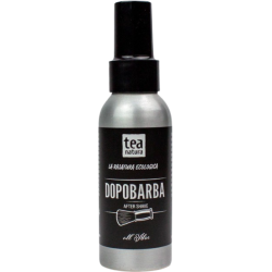 Vegan Aloe Aftershave