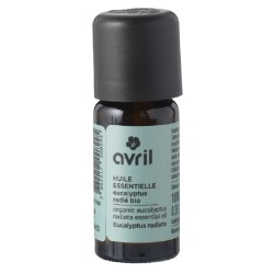 L'huile essentielle d'Eucalyptus