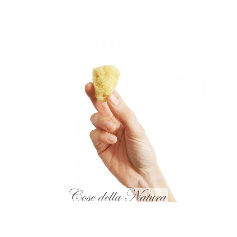 Cose Della Natura  Spongella XS - Spugna Mestruale 3/4 cm  Assorbenti