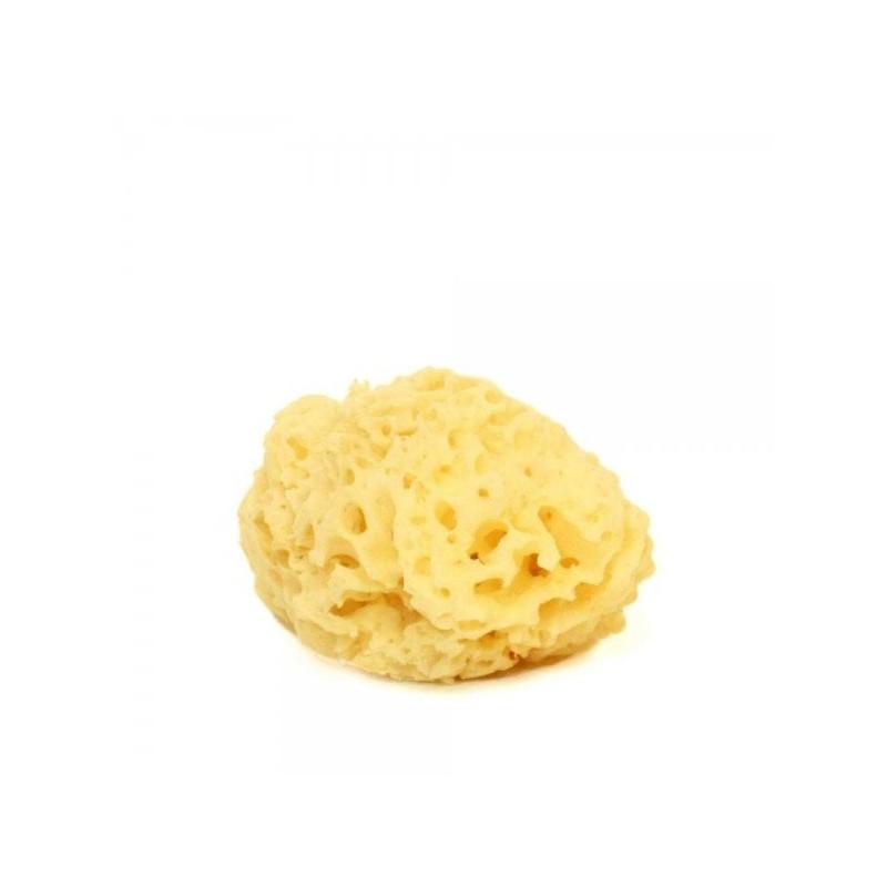 Cose Della Natura  Spugna arcipelago sbiancata - 5/6 gr  Spugne e Accessori Corpo