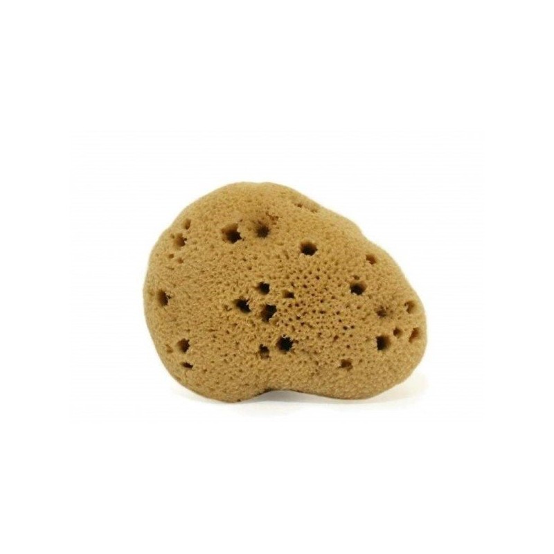 Cose Della Natura  Spugna fine dama Lavata 5-6 gr  Spugne e Accessori Corpo