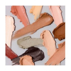 The Editorial Palette - Palette of Correctors
