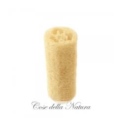 Socket Loofah