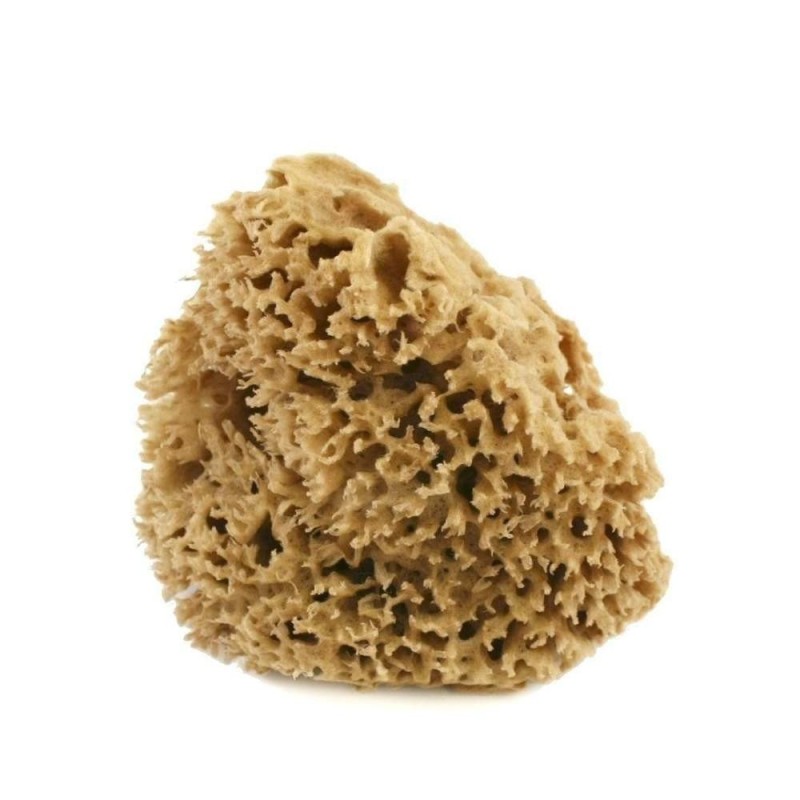 Cose Della Natura  Spugna Arcipelago Lavata - 8/10 gr  Spugne e Accessori Corpo
