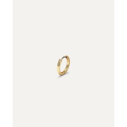 Single Earring - Nina Gold