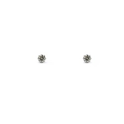 Earrings - Gemma