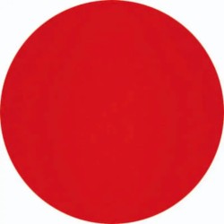 Enamel Orange - Coral Beauty
