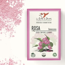 Rosa Damascena