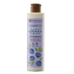 Shampoing Antioxydant pour Cheveux Blancs et Ternes